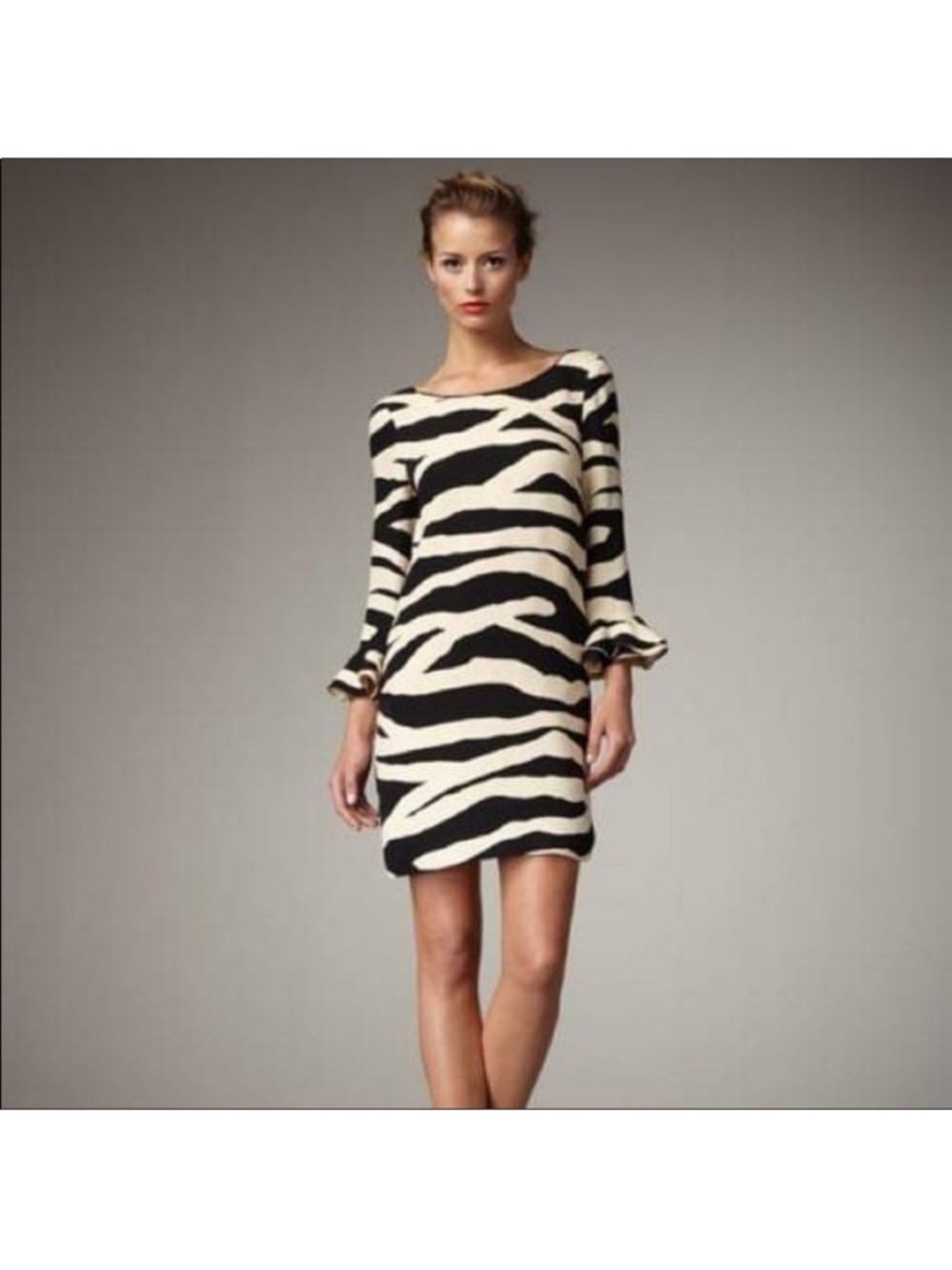 Kate Spade Andorra Zebra Striped Dress Size 6 NWOT - Picture 3 of 9